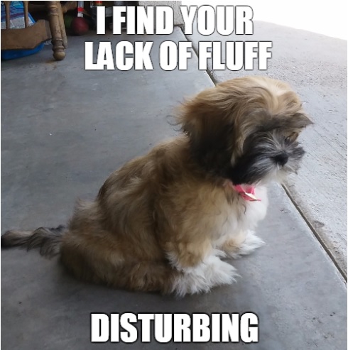 FluffDisturbing-.jpg